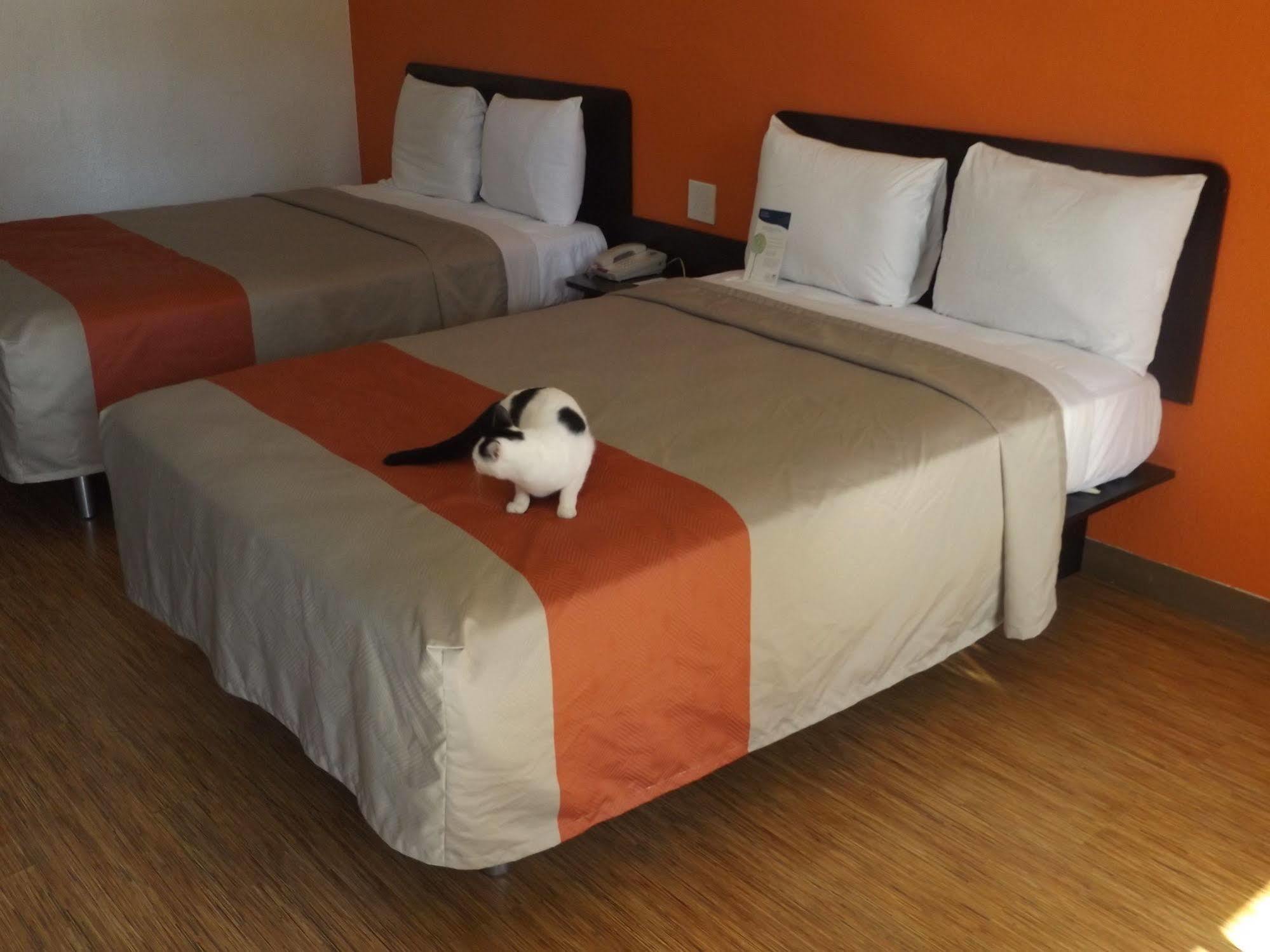Motel 6 Glendale AZ Buitenkant foto